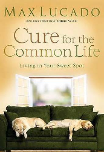Cure for the Common Life: Living in Your Sweet Spot – Hardcover – VERY GOOD