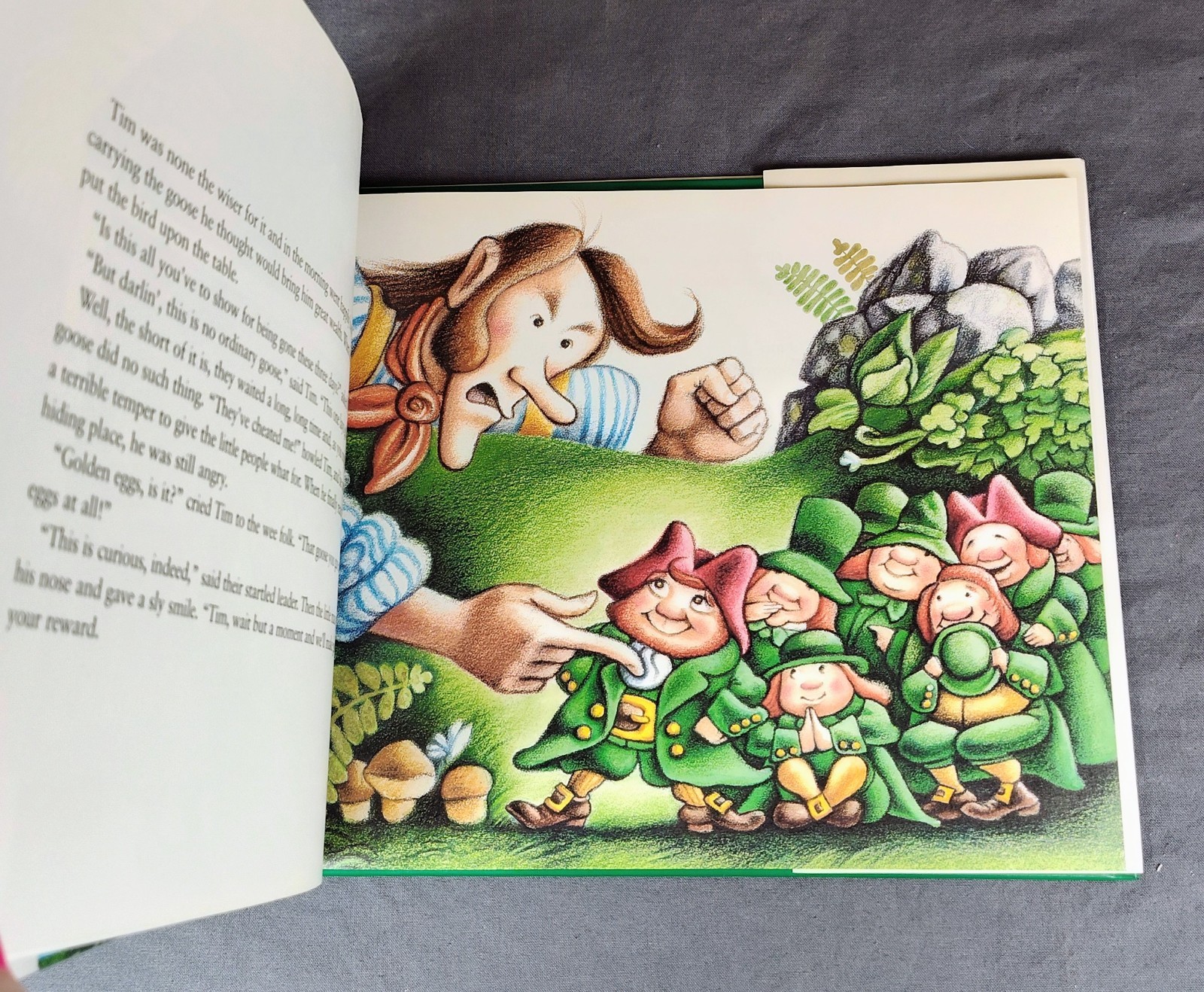 Tim O’Toole And The Wee Folk An Irish Tale SIGNED w/ ILLU. 1st Ed McDermott