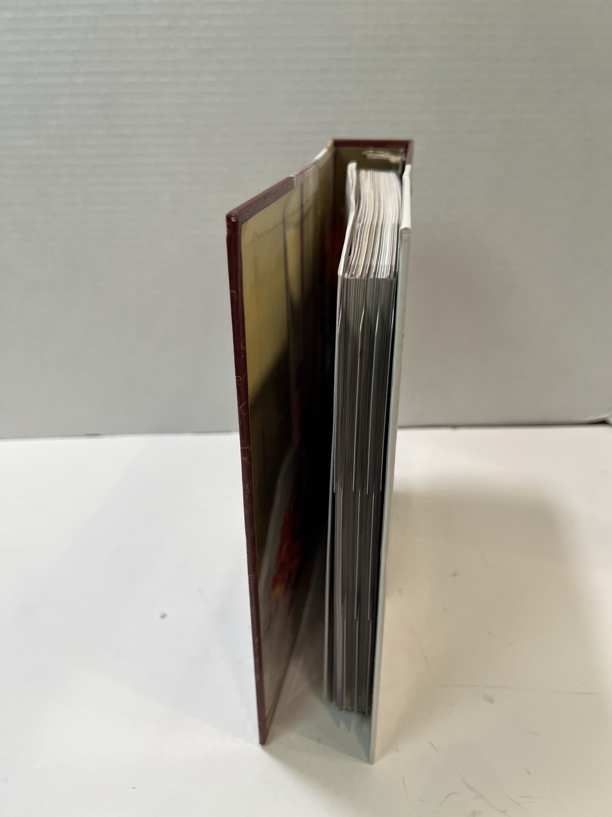 VITA-MIX 5200 3-ring binder w Tabs Cookbook 300 pages Whole Grains, easel