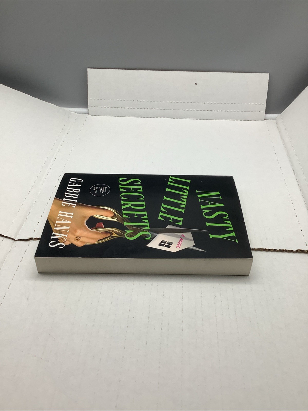 Nasty Little Secrets – By: Gabble Hanks – ARC 6/16/2026 – Paperback – Acceptable