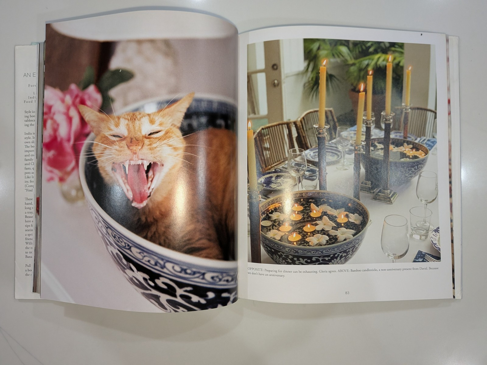 India Hicks: An Entertaining Story | 2020 Hardcover | Rizzoli | Brooke Shields