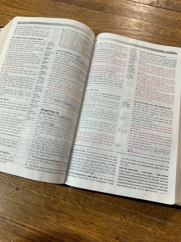 PROPHECY STUDY BIBLE Burgundy Leather KJV Red Letter TIM LAHAYE/DAVID WOOD 2000