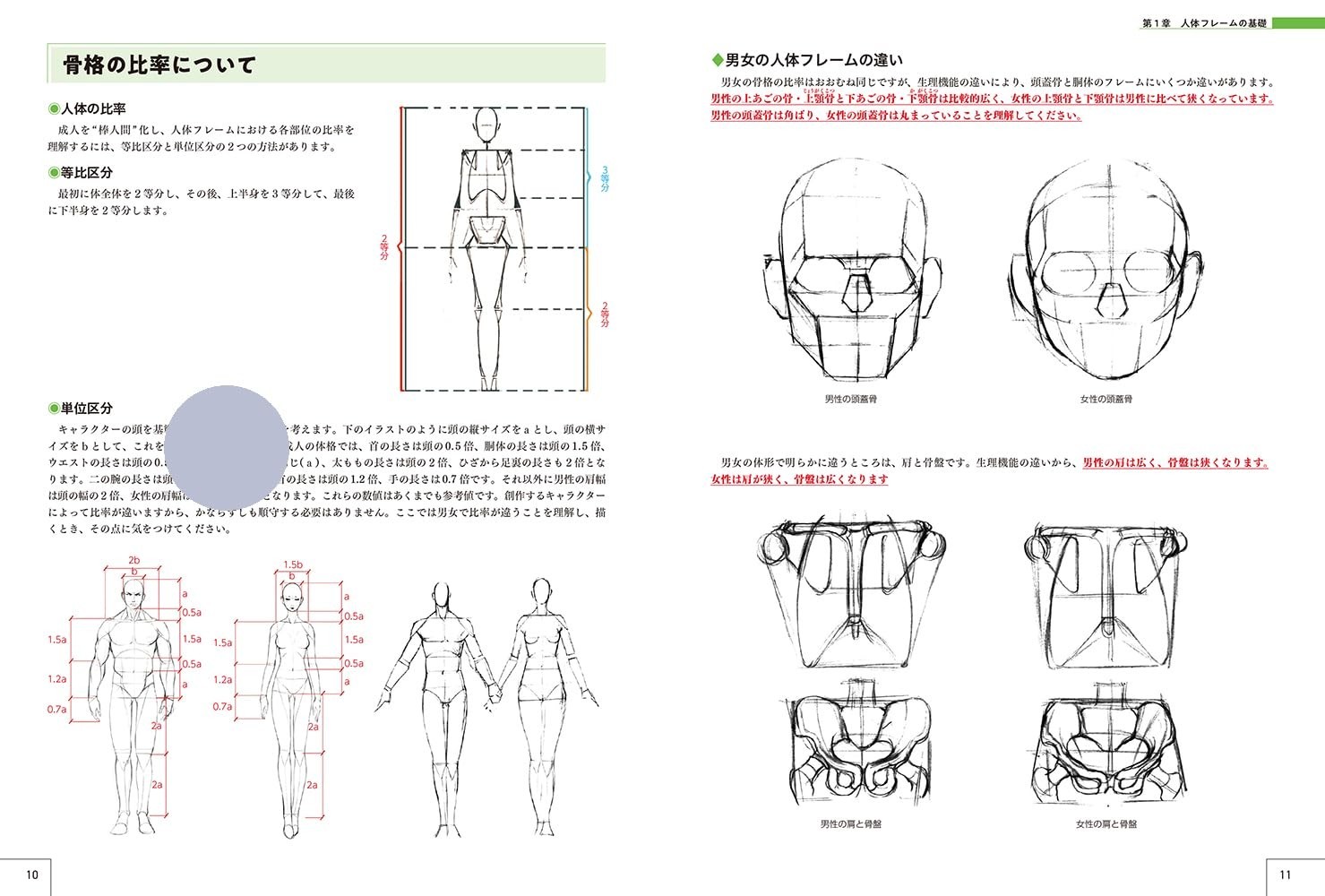 How to Draw Characters Guidebook : Human Body Drawing to Character Design Japan