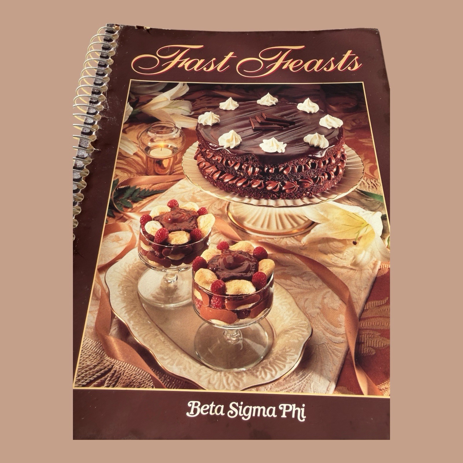 ✨VTG 1997 Beta Sigma Phi Fast Feasts Cookbook Spiral Bound 221 Pages✨