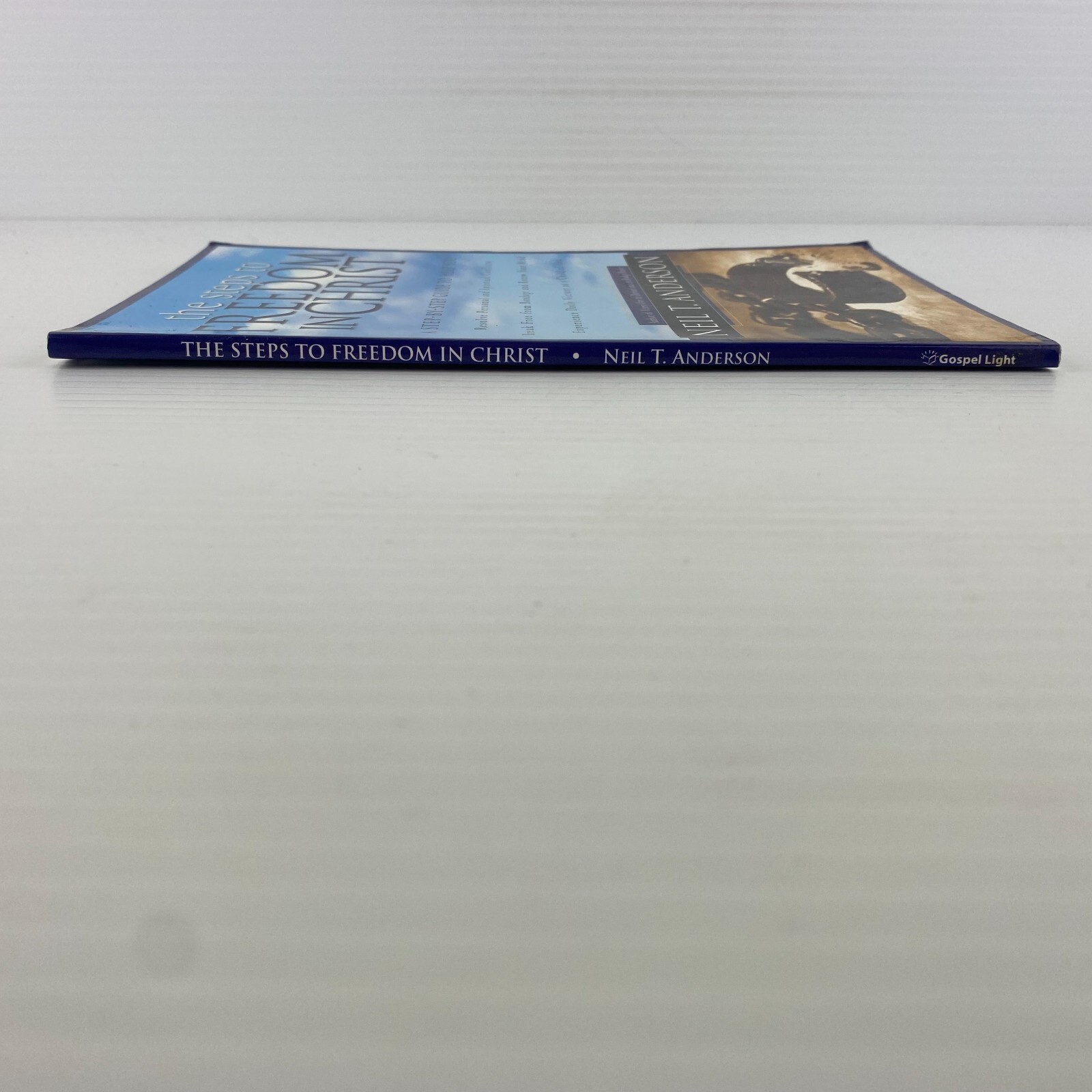 THE STEPS TO FREEDOM IN CHRIST Neil T Anderson RELIGION CHRISTIAN BIBLE PRAYER