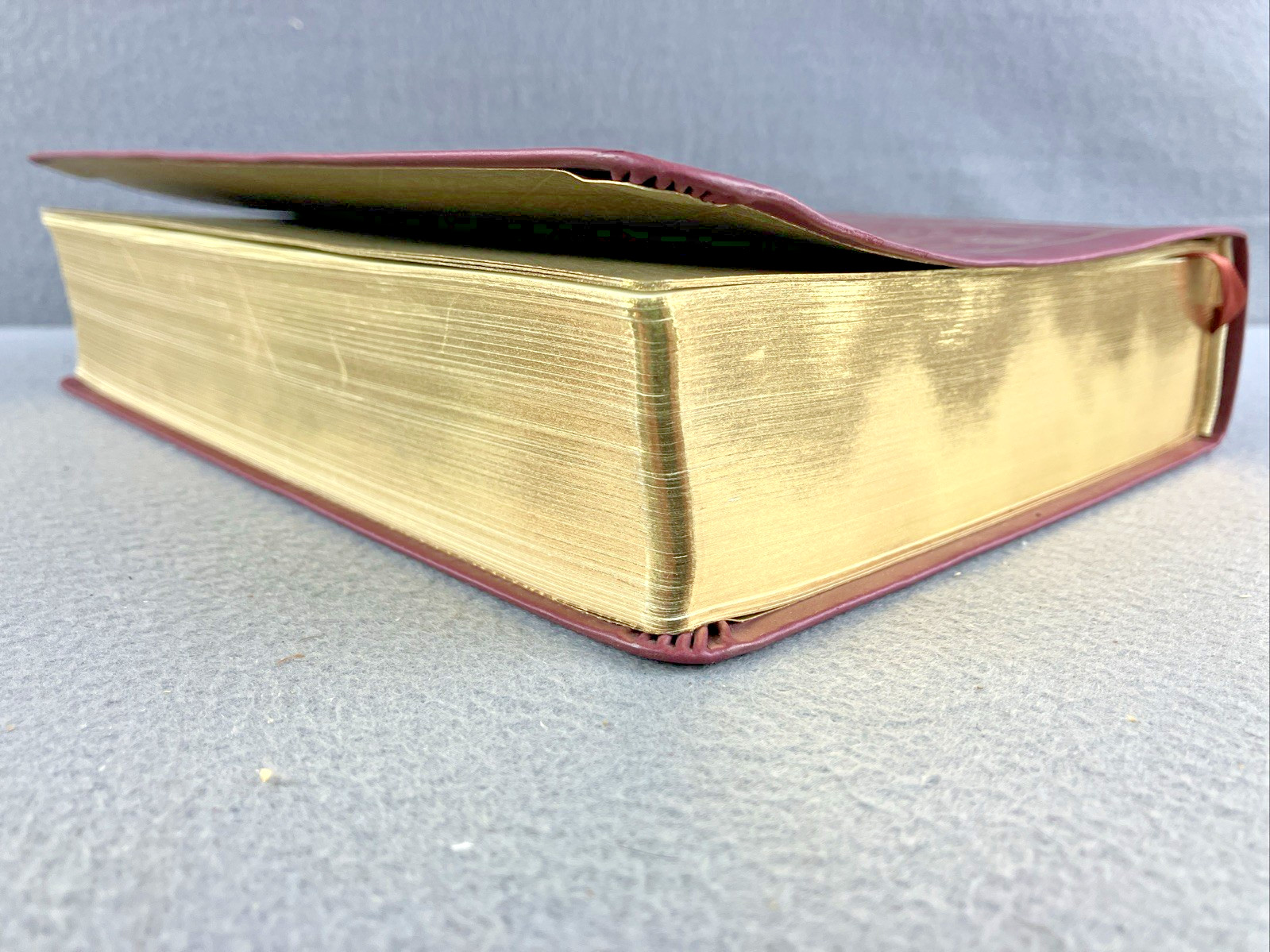 The Daily Grace Co Illuminated ESV Bible Art Journaling Softcover With Box