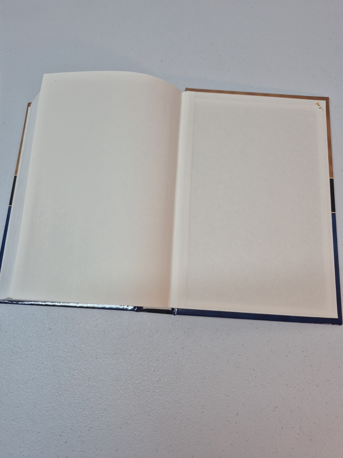 Nelson’s KJV/NKJV Parallel Bible with Center-Column References 1st Pages Removed