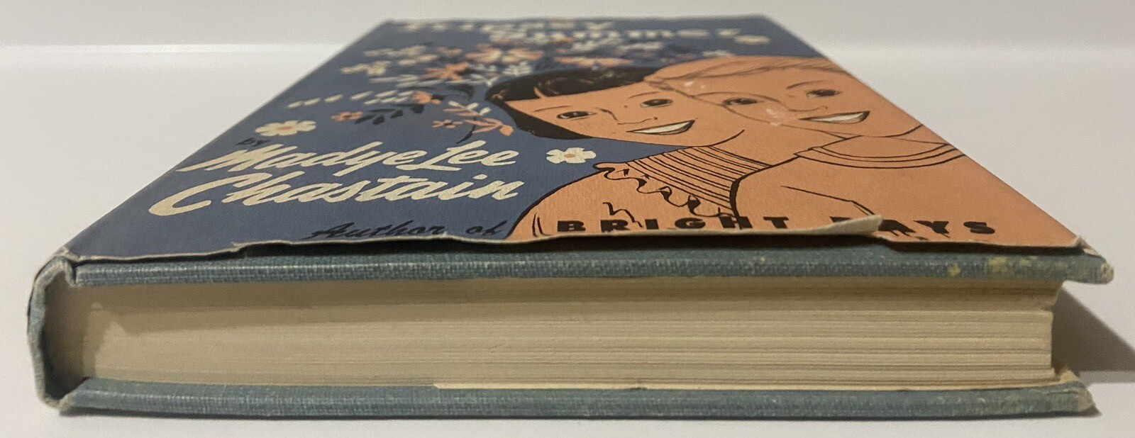 Fripsey Summer by Madye Lee Chastain (1953 1st Hardcover)