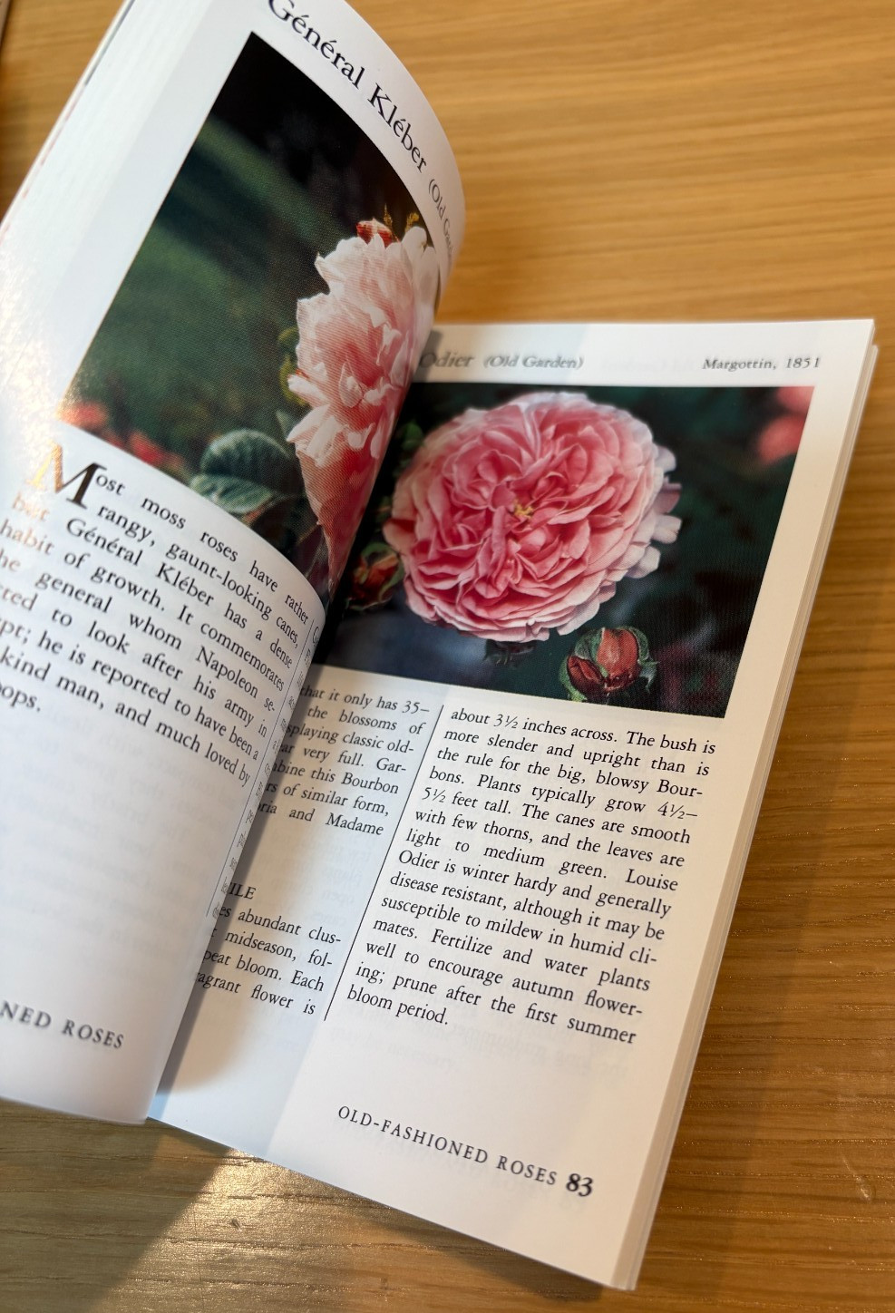 Set of 5 Taylor’s Pocket Guides: Perennials Bulbs Spr/Sum Modern Roses Old Roses