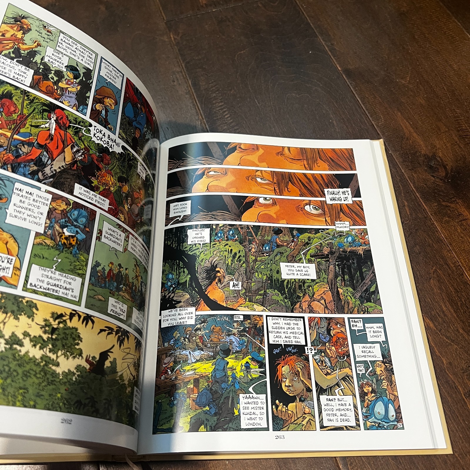 PETER PAN By Regis Loisel 2014 Hardcover Graphic Novel Book French English