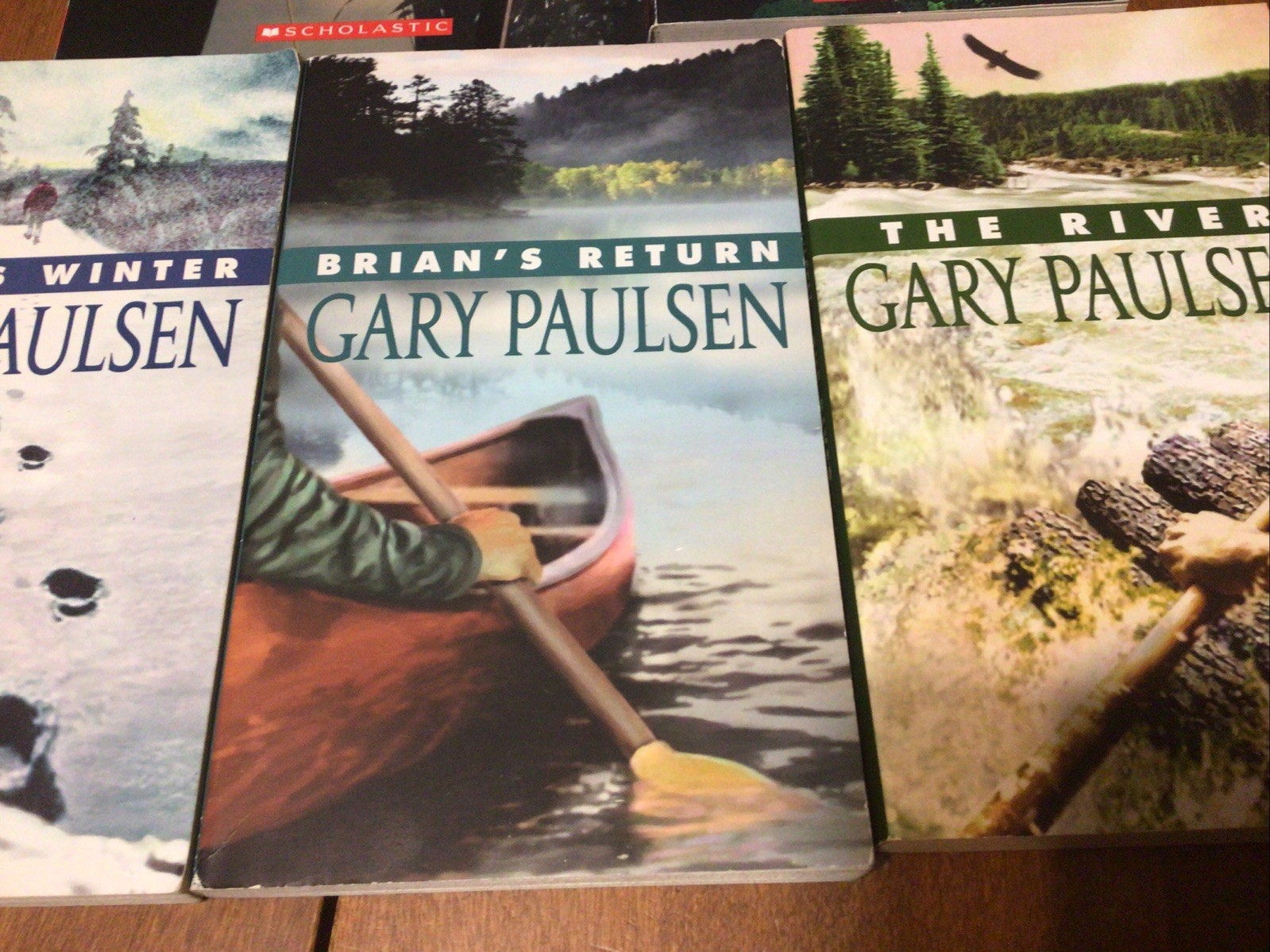 Complete Set Lot Of 5 BRIAN Books Paulsen HATCHET River HUNT Return WINTER (L2)