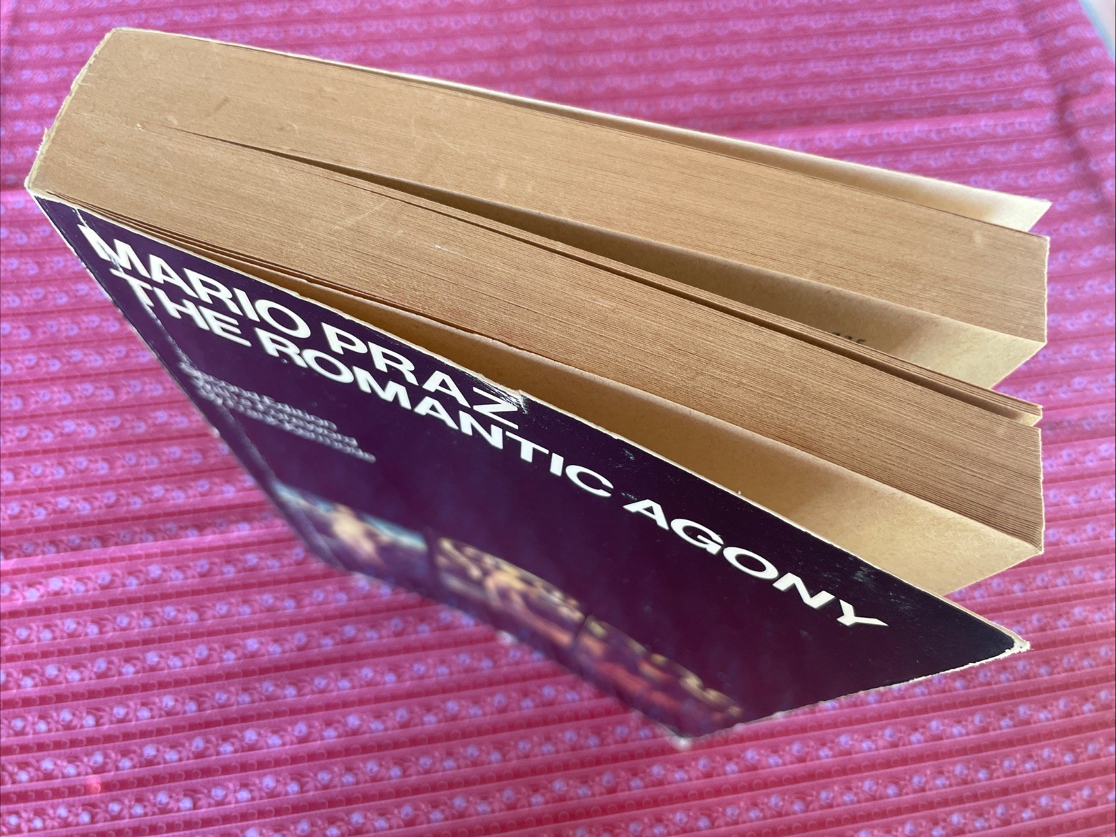 The Romantic Agony, 2nd Edition by Mario Praz, trans. A. Davidson (1979 VTG PB)