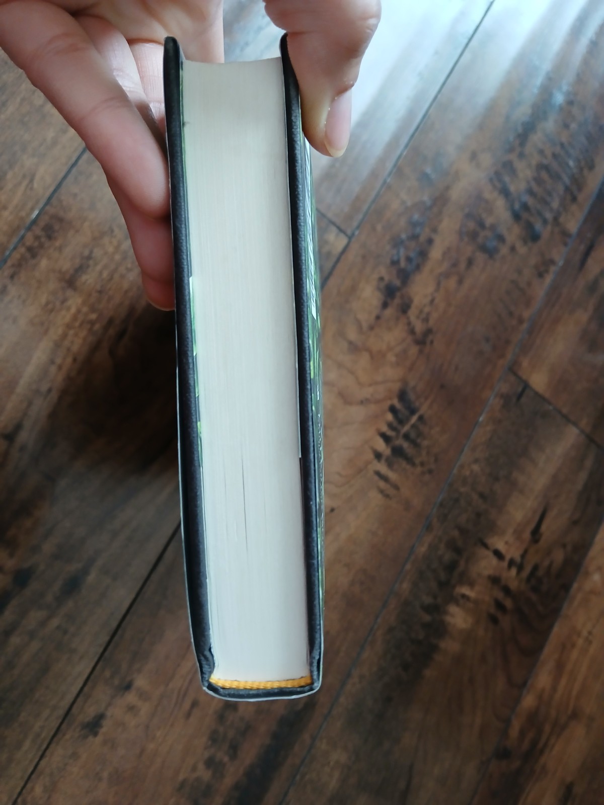 Claire Fuller Bitter Orange: A Novel Hardcover 2018 Zando w/ Dust Jacket