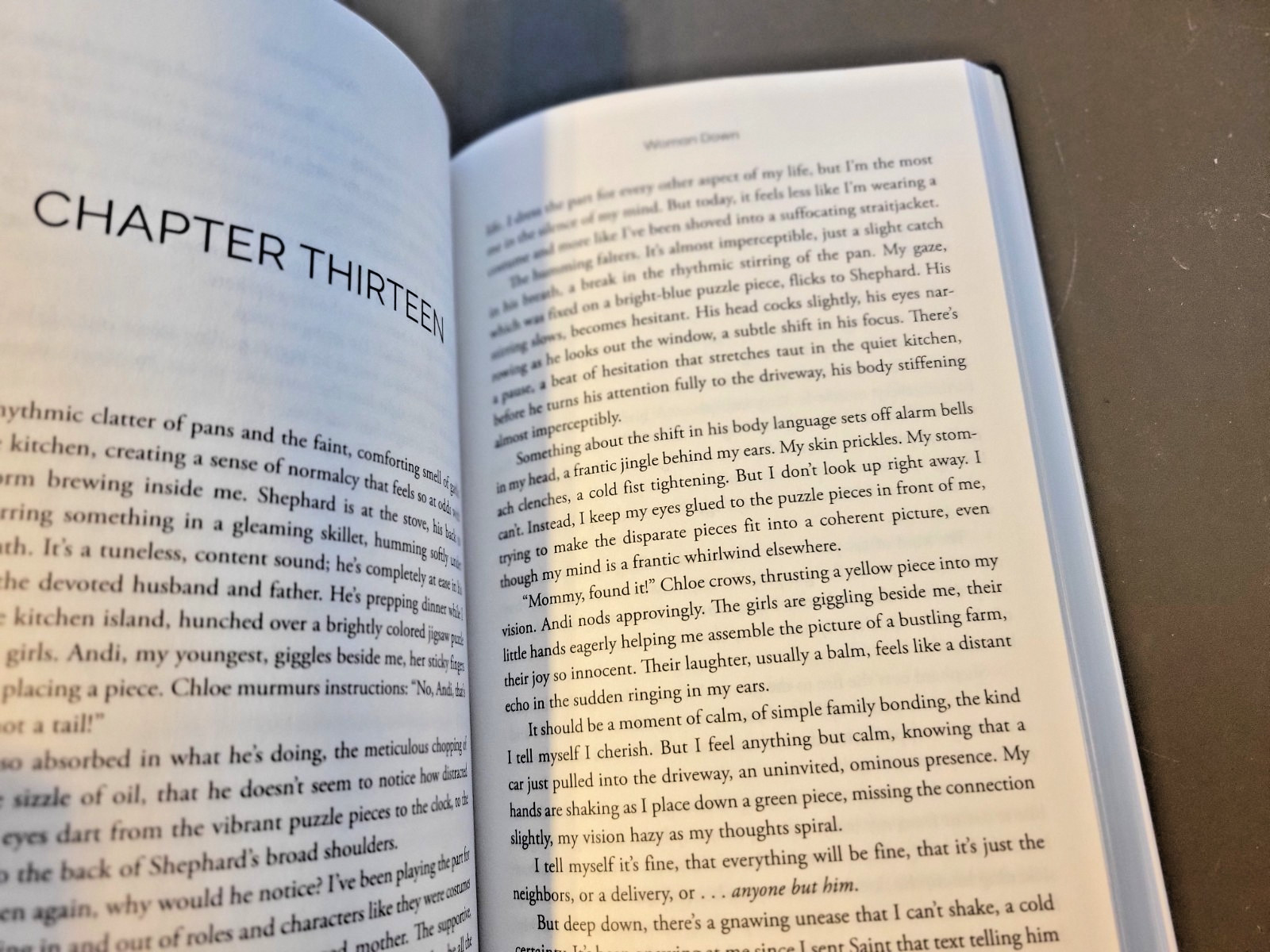 Woman Down: a Novel by Colleen Hoover – NYT #1 Bestselling Author – Paperback
