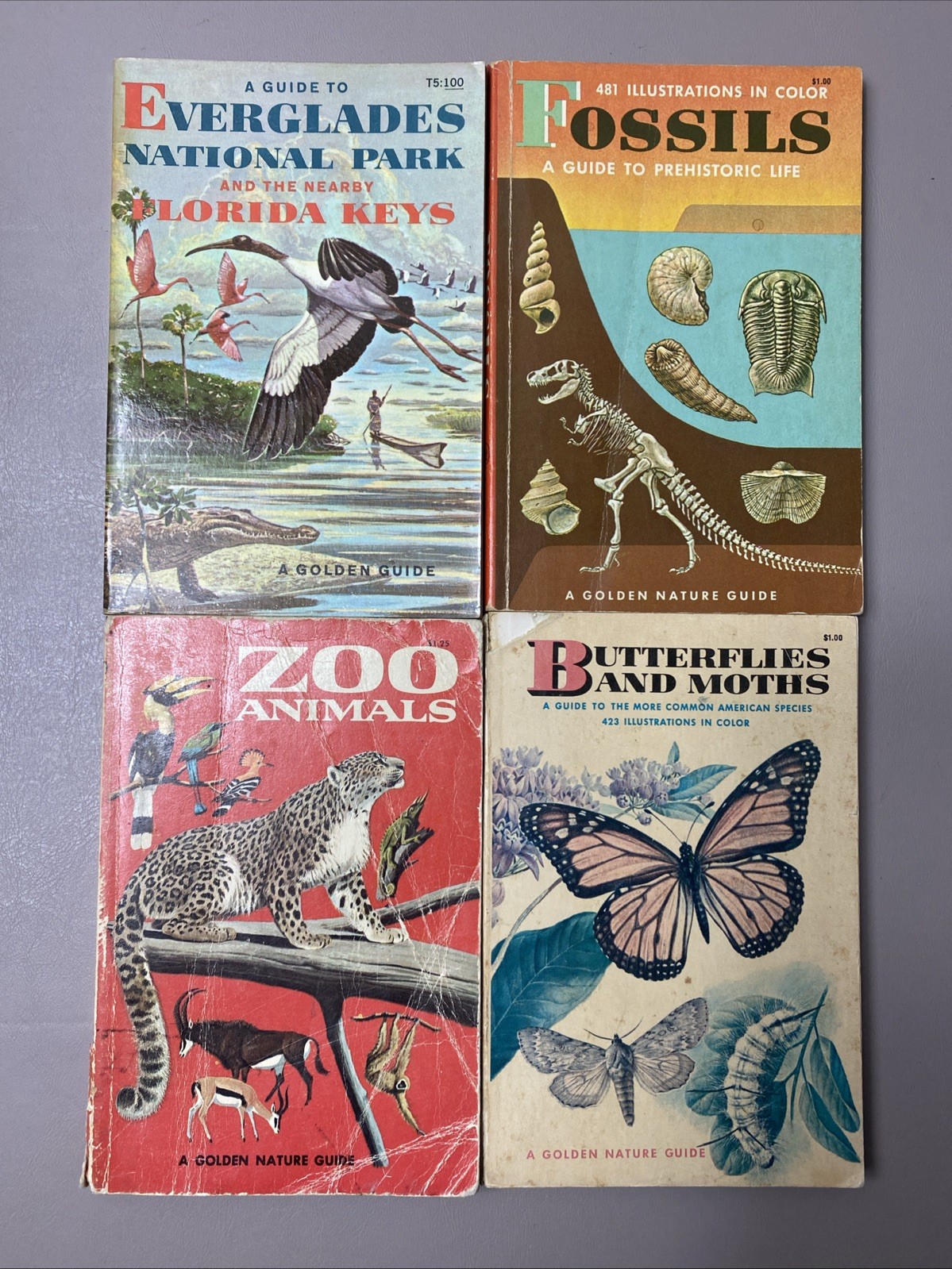 Lot of 19 Vintage „A Golden Nature Guide“ books – Illustrated In Color