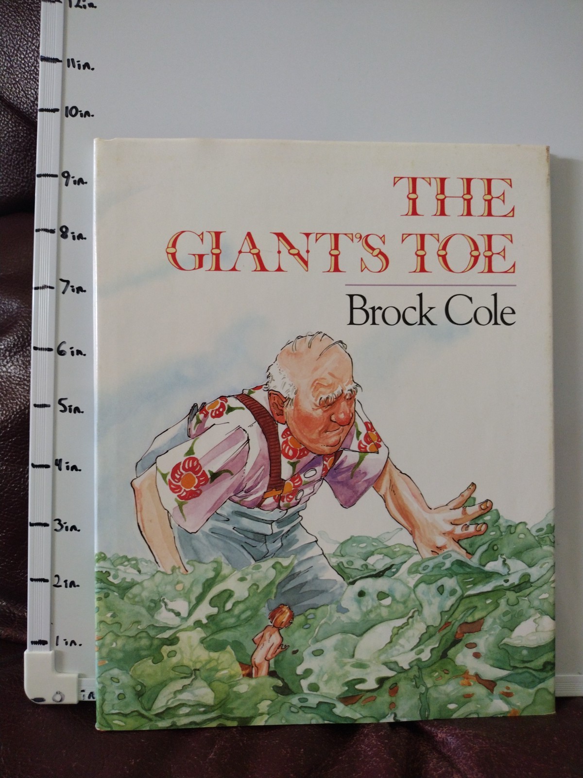 The Giant’s Toe by Brock Cole 1986 First Edition Farrar, Straus & Giroux w/DJ