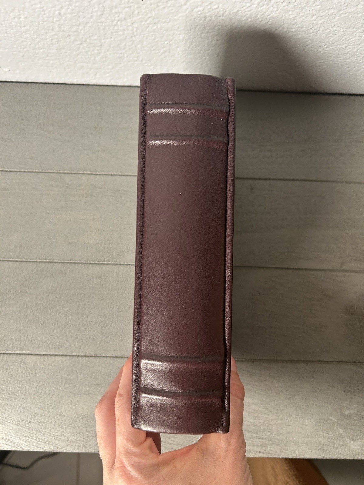 His Dark Materials Rare Edition Leather bound Knopf Borzoi Everyman 2011