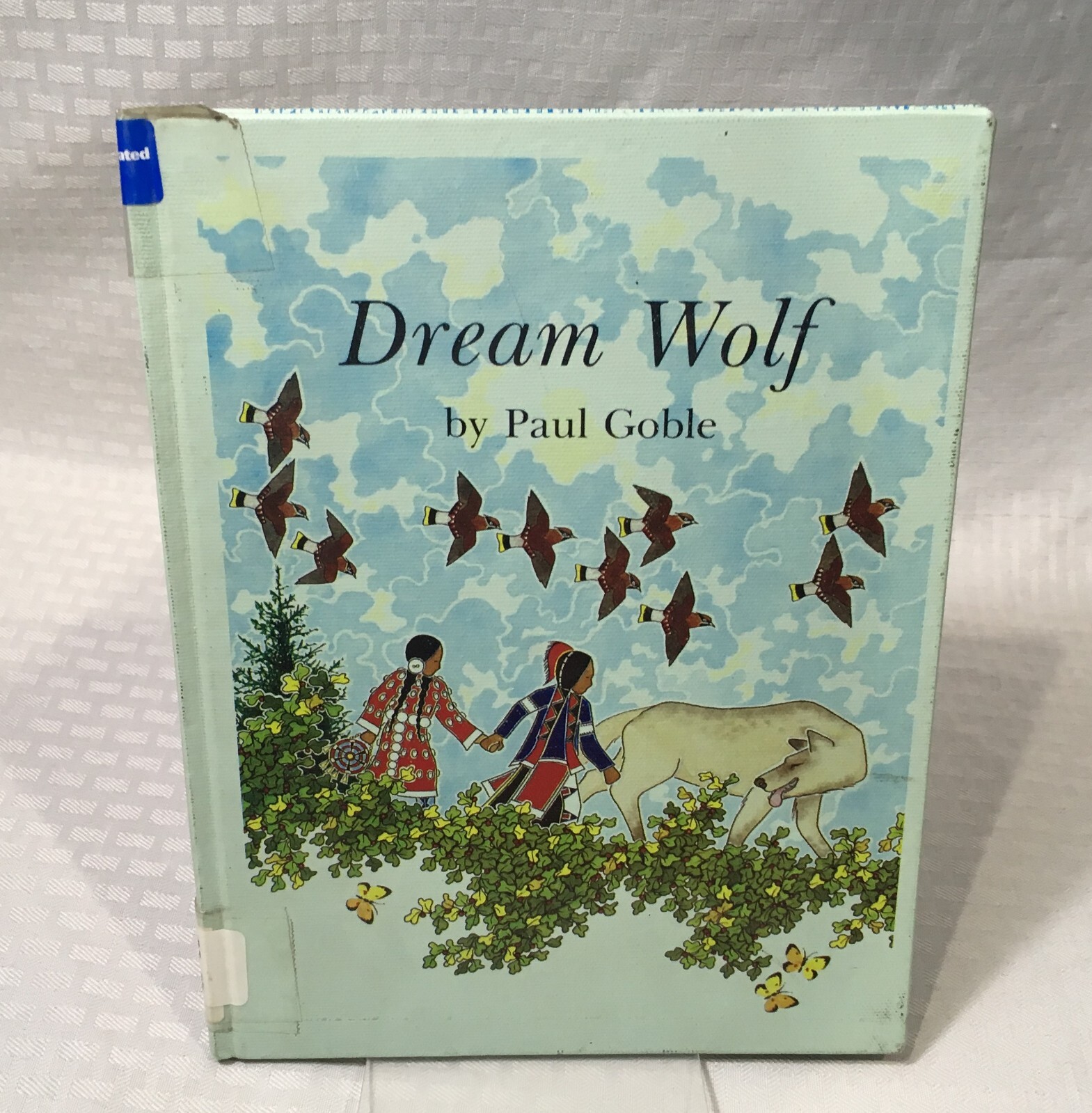 NATIVE AMERICAN BOOK LOT / 10 CHILDREN’S PICTURE BOOK / HC / MULTIPLE TITLES