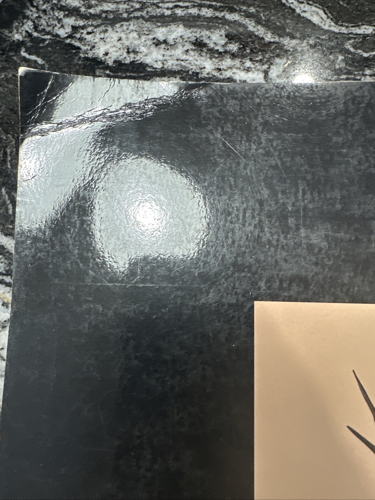 Alexander Calder 1898-1976 Art Book National Gallery Exhibition 1998 Printing