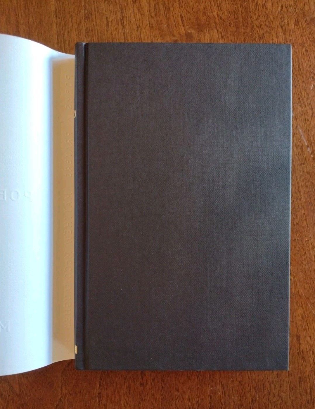 Poems and Prayers by Matthew McConaughey (2025, Hardcover)