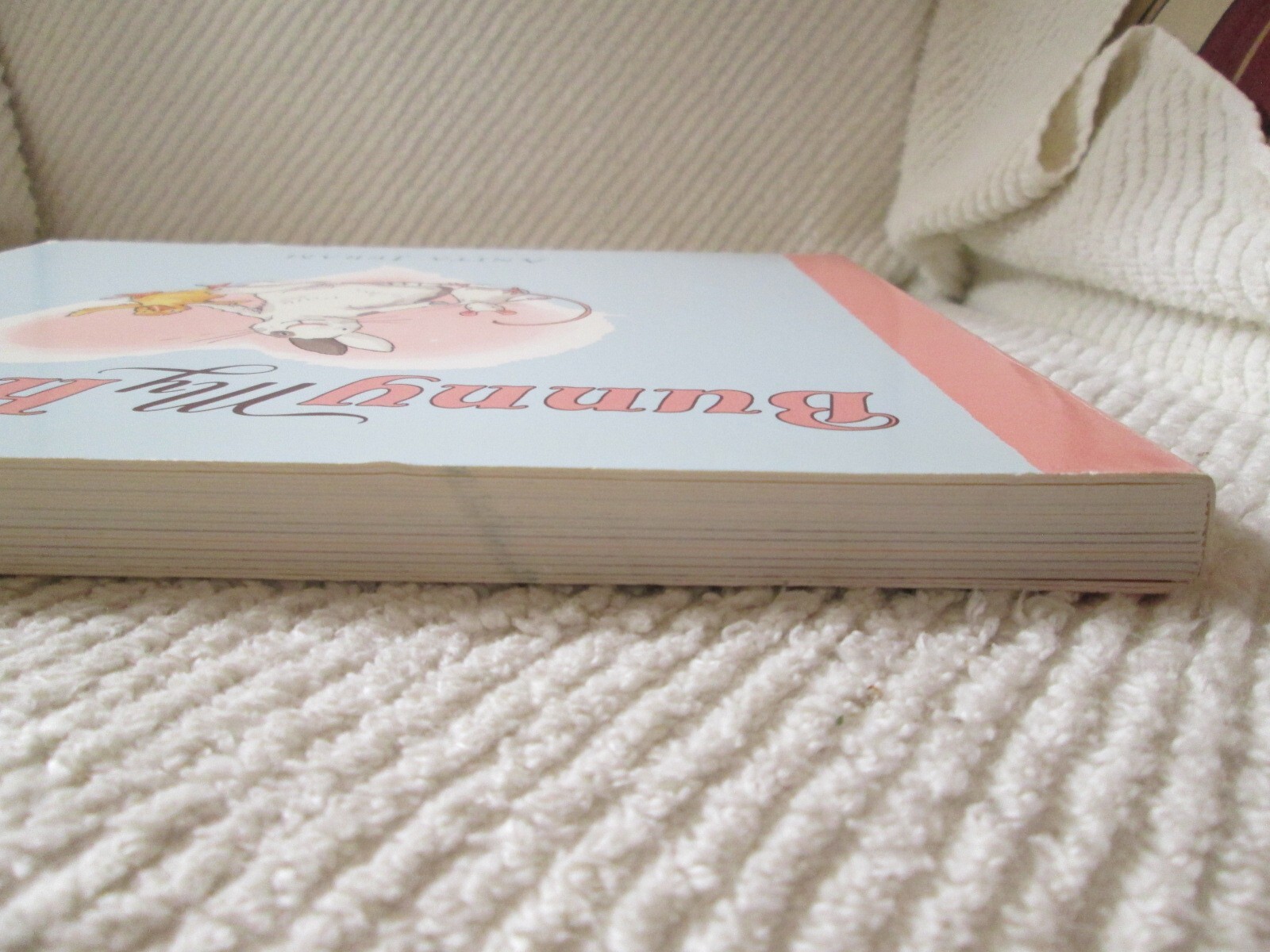 Bunny My Honey by Anita Jeram Big Board Book (9.25 x 10.5 inches)