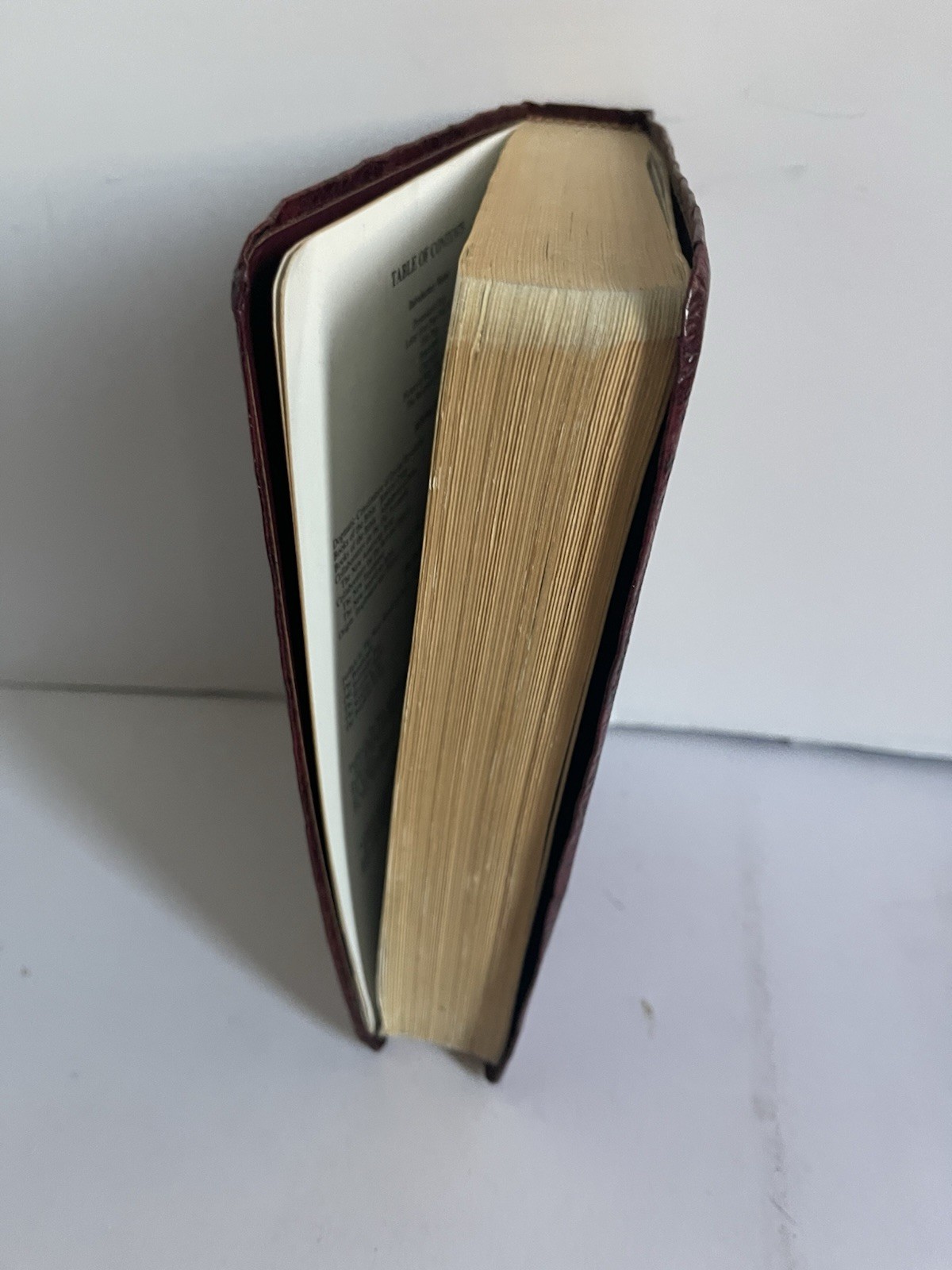 Bible NAB by Fireside Catholic Publishing 1994-1995 Edition Leather Bound