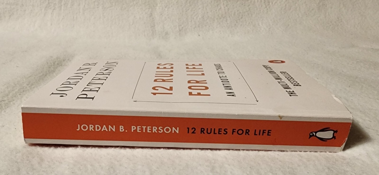 Twelve 12 Rules for Life An Antidote to Chaos 2019 Paperback Jordan B Peterson