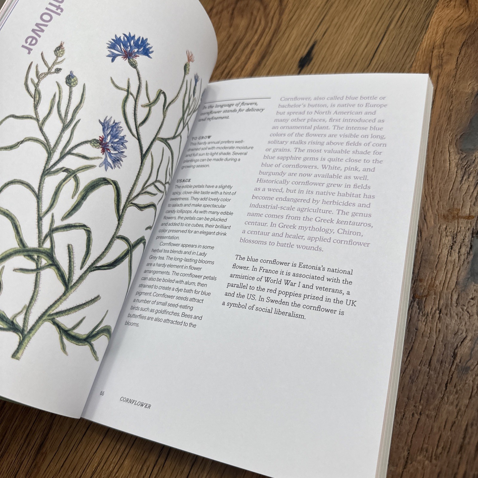 Herbal Handbook Recipes Tinctures Teas Balms And More New York Botanical Garden
