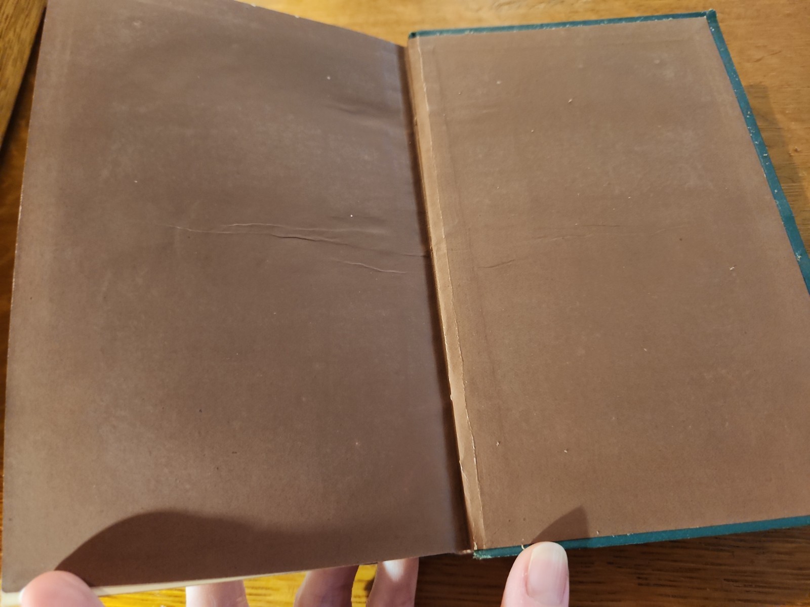 David King of Israel, William M. Taylor, HC 1875, Antique Bible History Book