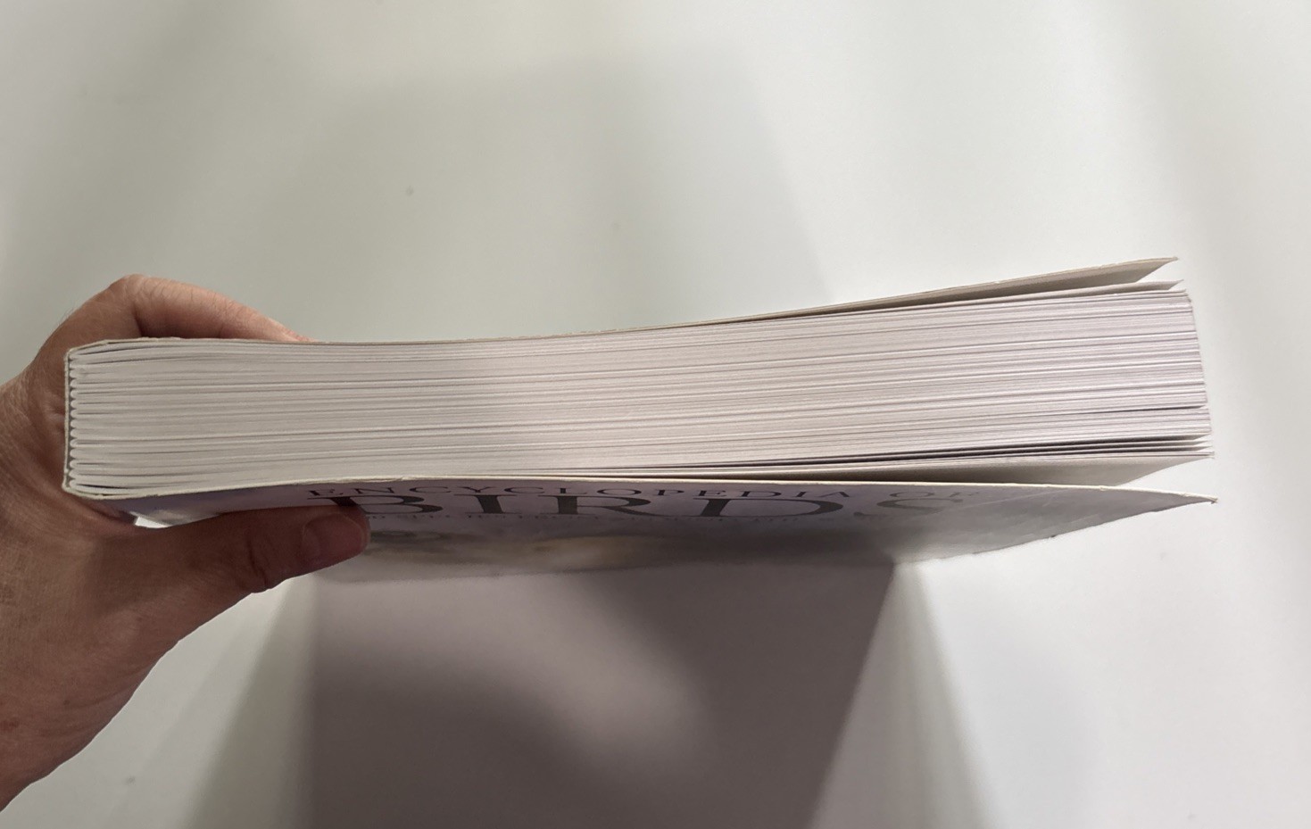 Encyclopedia of Birds: 400 Species from Around the World 448 Pages 9″x12″