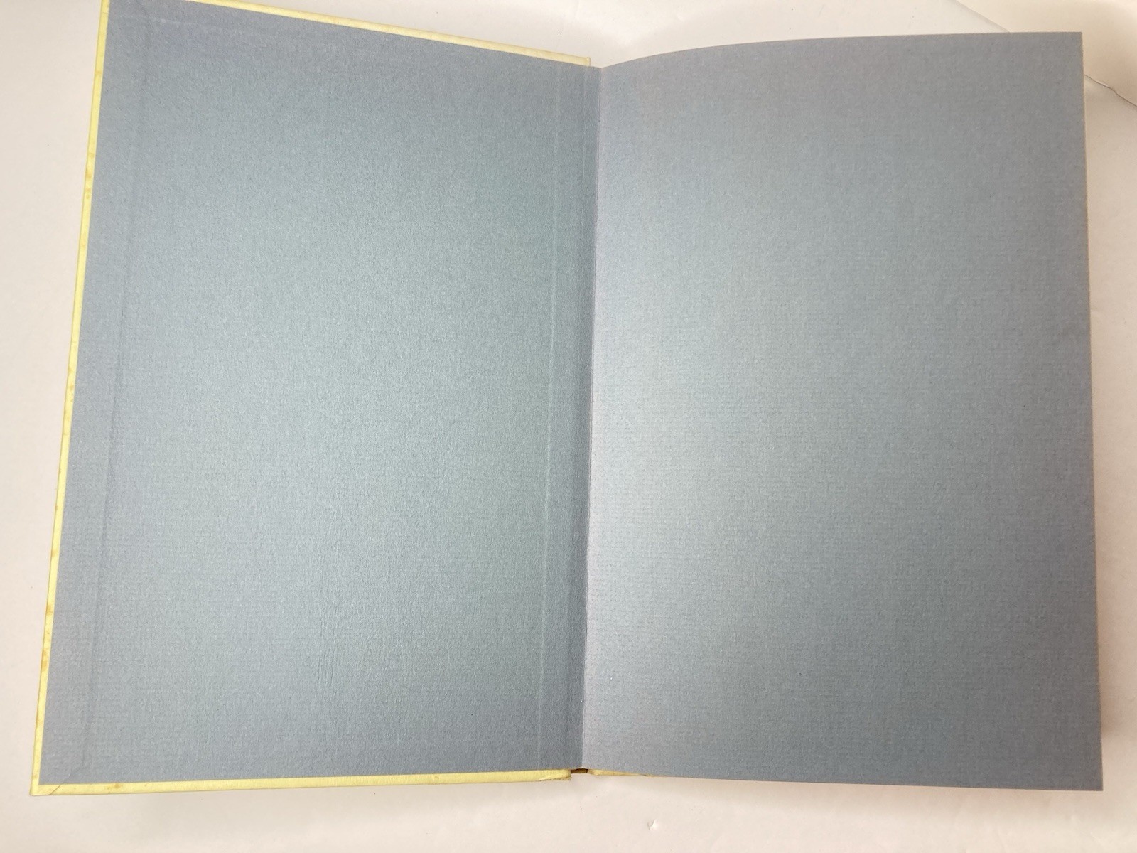 History of the Tale of Peter Rabbit Warne 1976 History Potter Private Printing