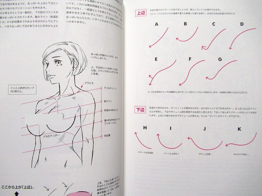 How to Draw Manga Woman’s Breast /Japanese Anime Drawing Illustrations Art Book