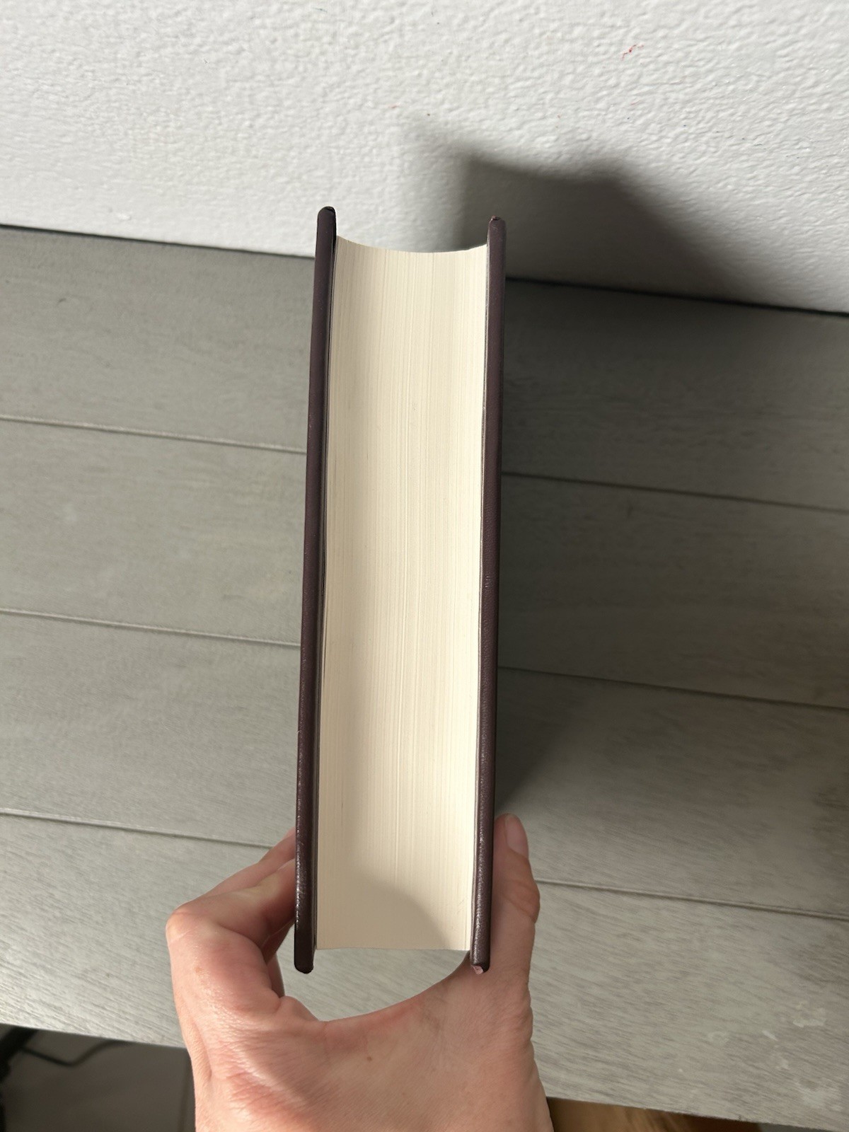 His Dark Materials Rare Edition Leather bound Knopf Borzoi Everyman 2011