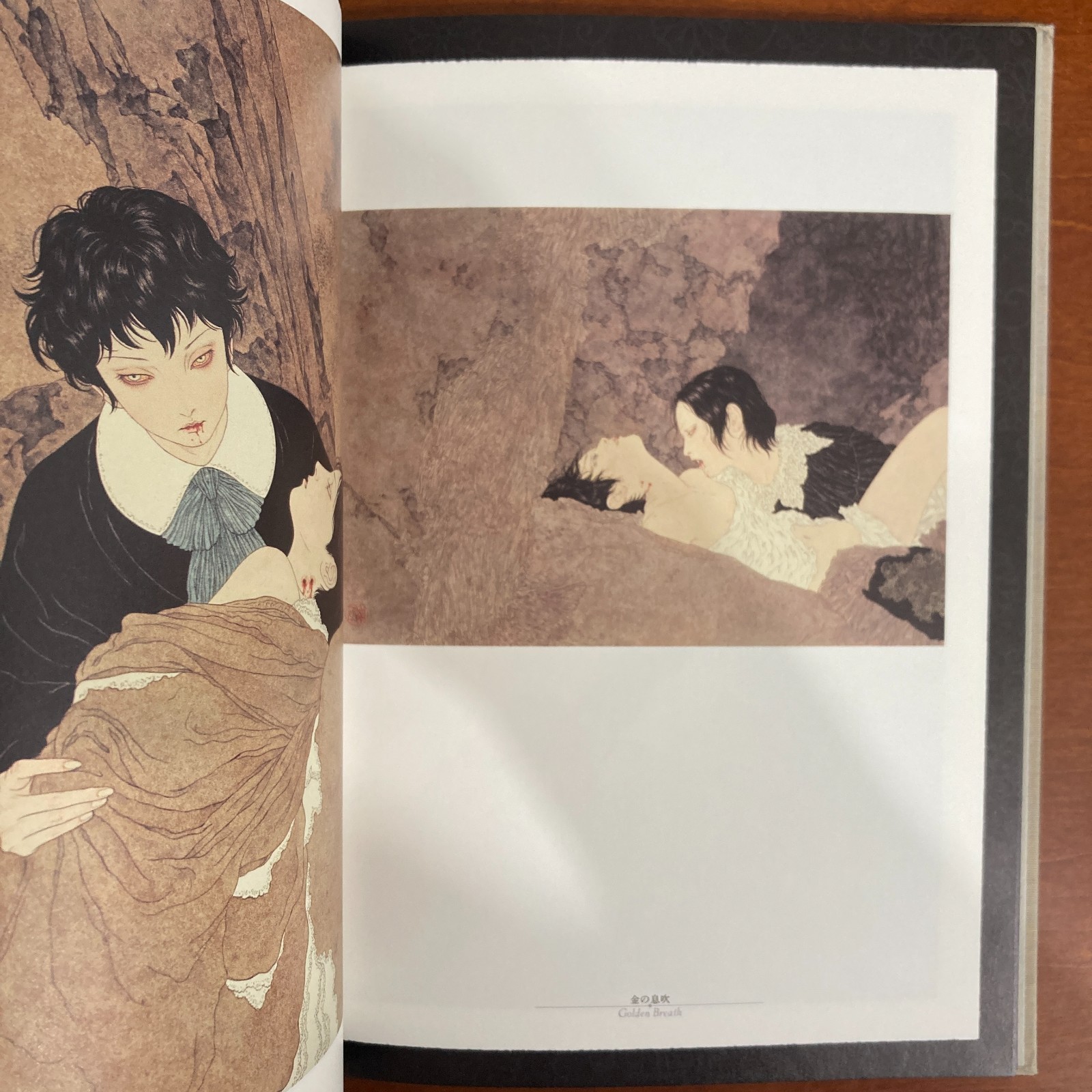 Takato Yamamoto Rib of a Hermaphrodite Art Book Illustration