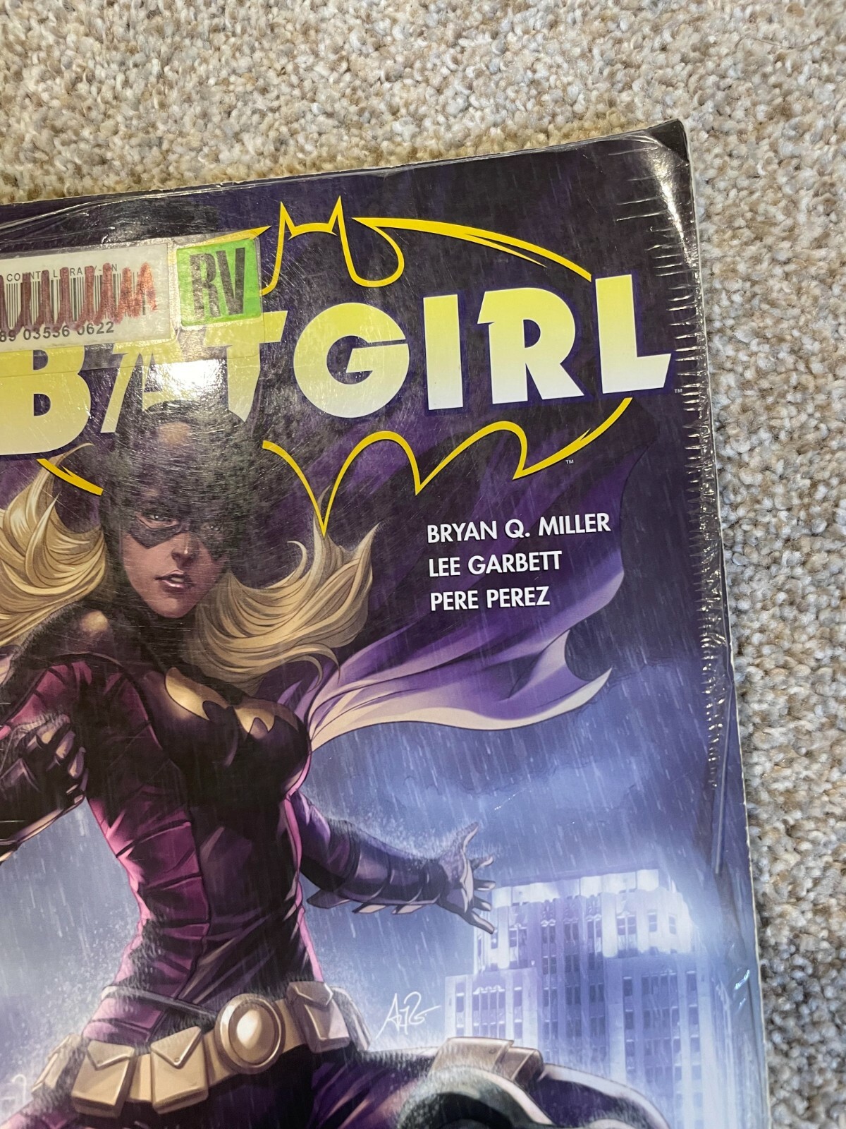 Batgirl: the Flood