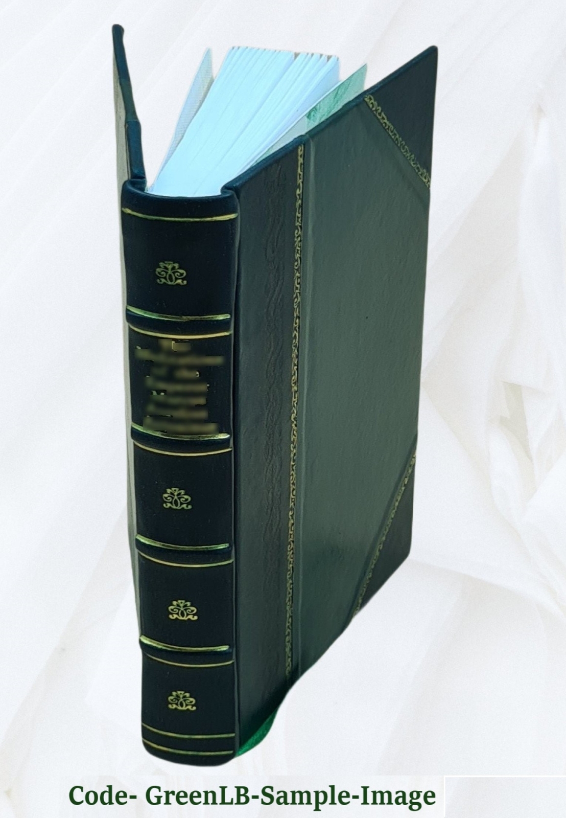 Historical And Genealogical Account Of The Rush Family 1925 [Leather Bound]