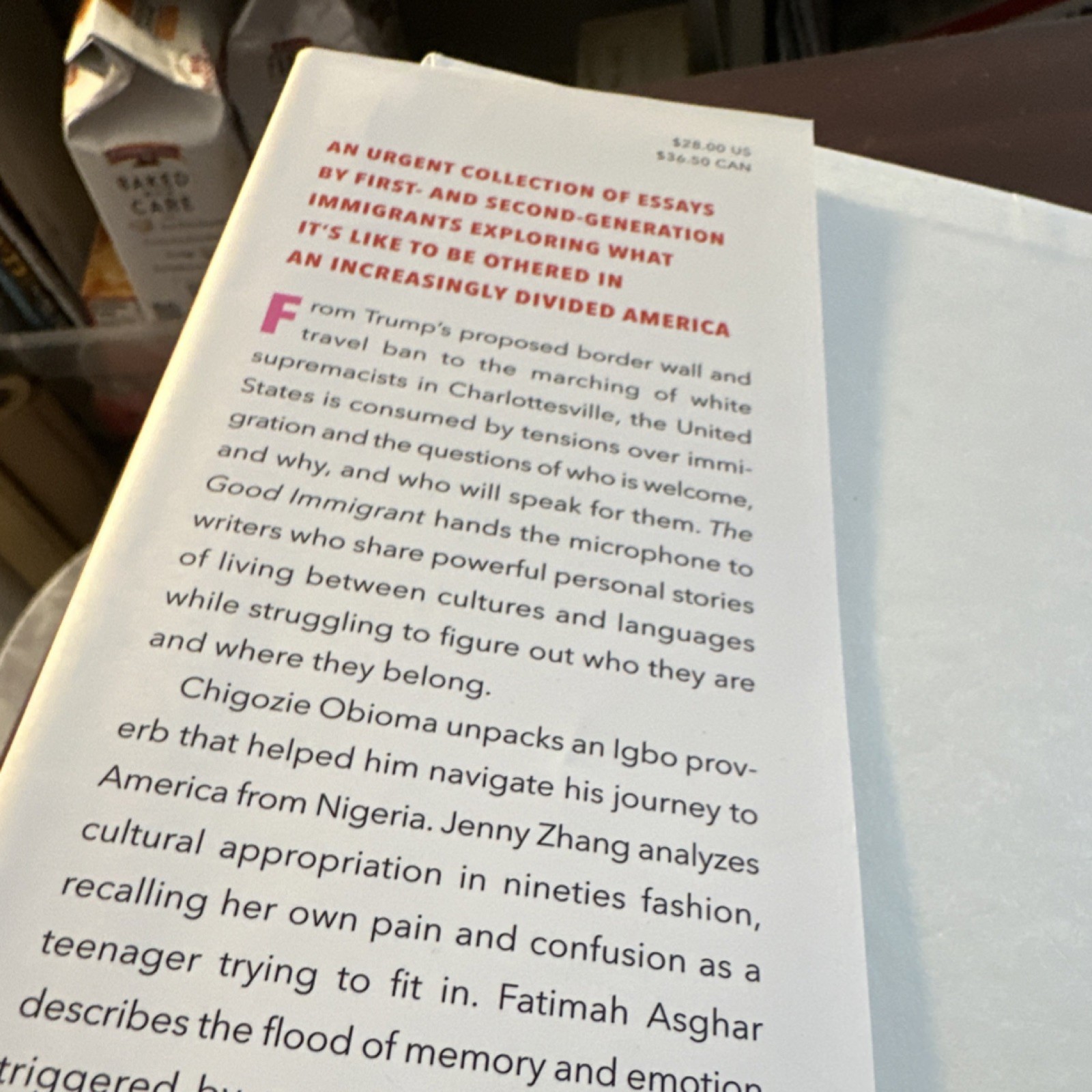 Little, Brown Good Immigrant 26 Writers Reflect America Hardcover 2019