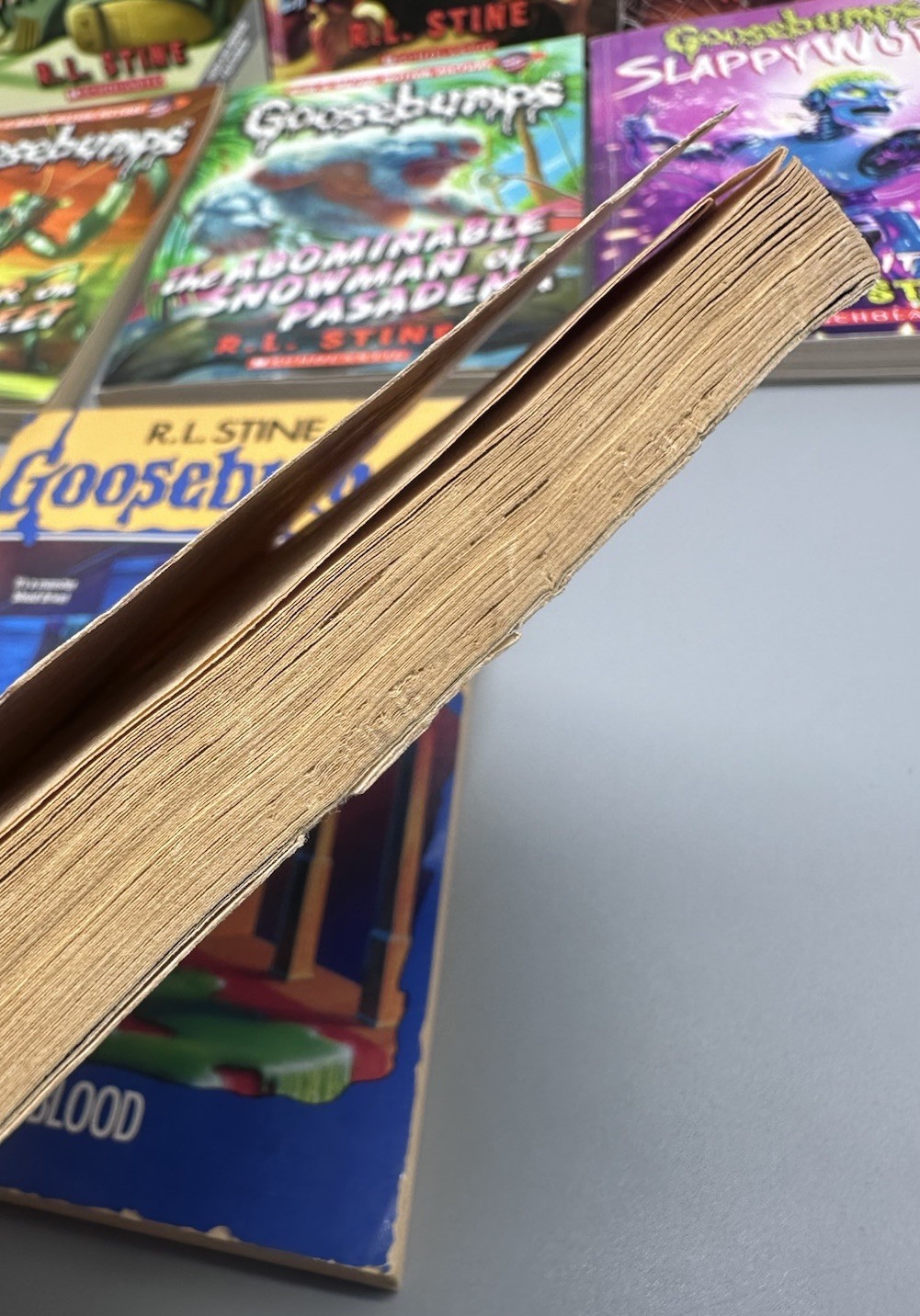 Mixed Lot of 19 Goosebumps Books Horrorland 1-10 Living Dummy 1-3 Etc RL Stine