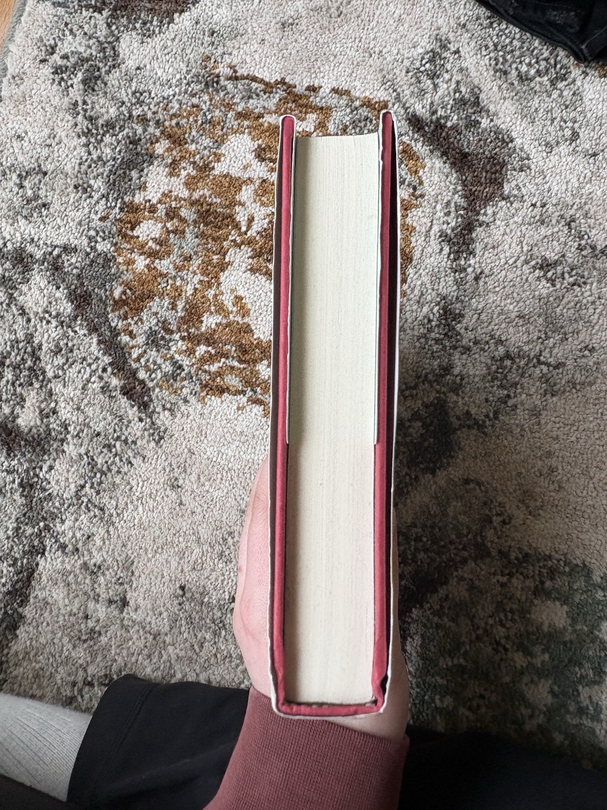 Dead Sea Rising by Jerry B. Jenkins Worthy Publishing Hardcover Bookmark Edition