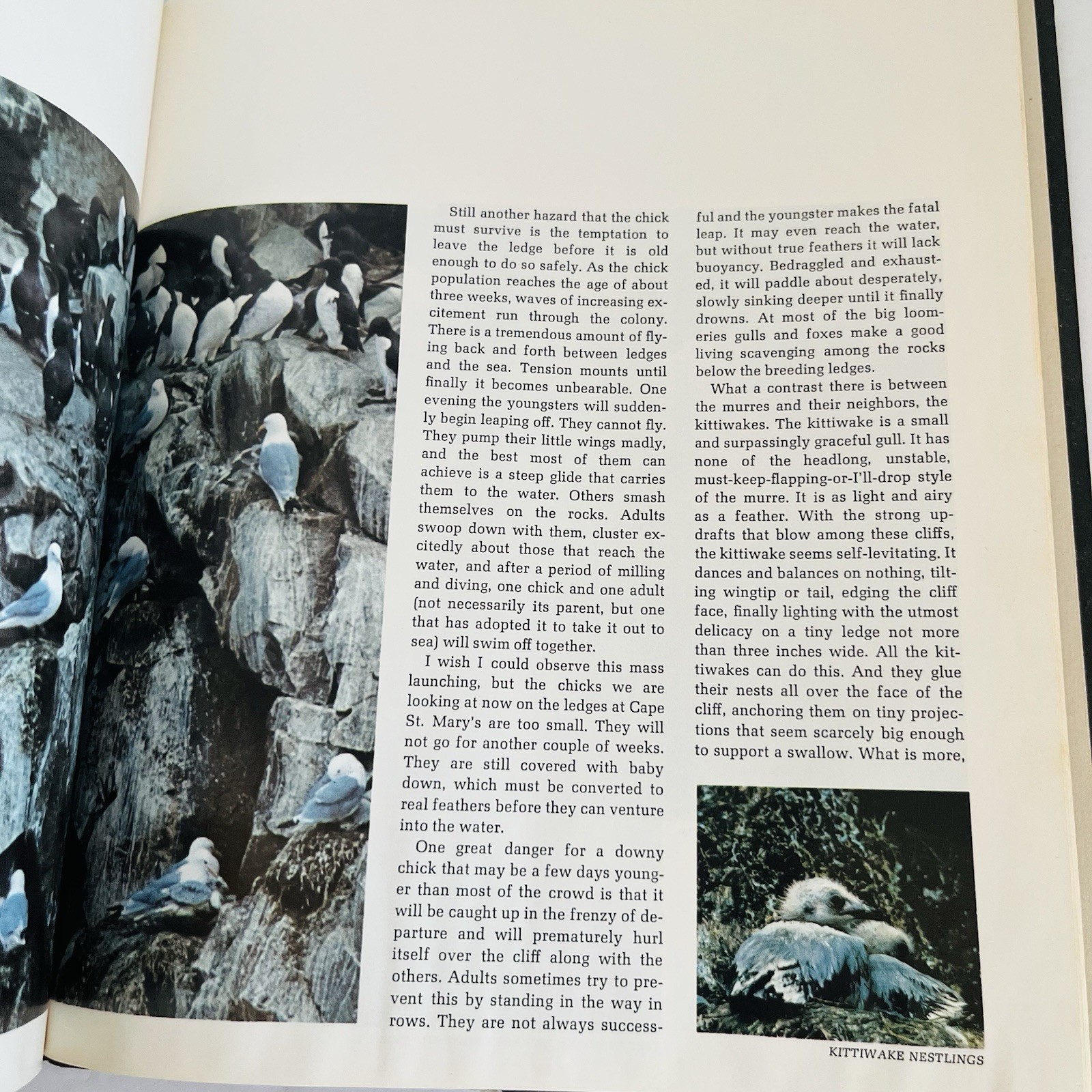 Vintage „The American Wilderness“ Time Life Books Collection 1973 Lot of 7