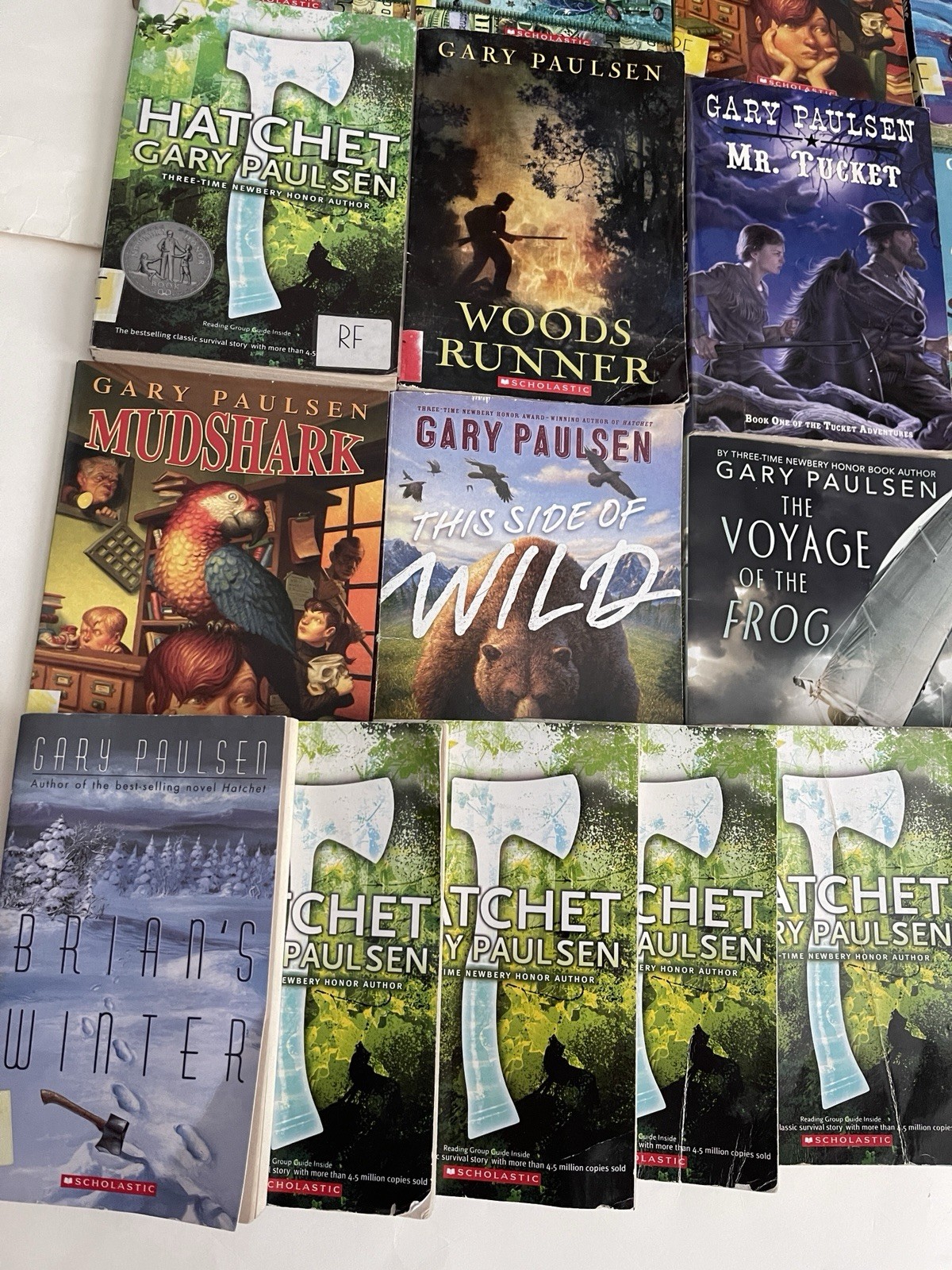 Lot of 23 Gary Paulsen Books- Lawn Boy- Hatchet -Tracker – Frog – Tucket –