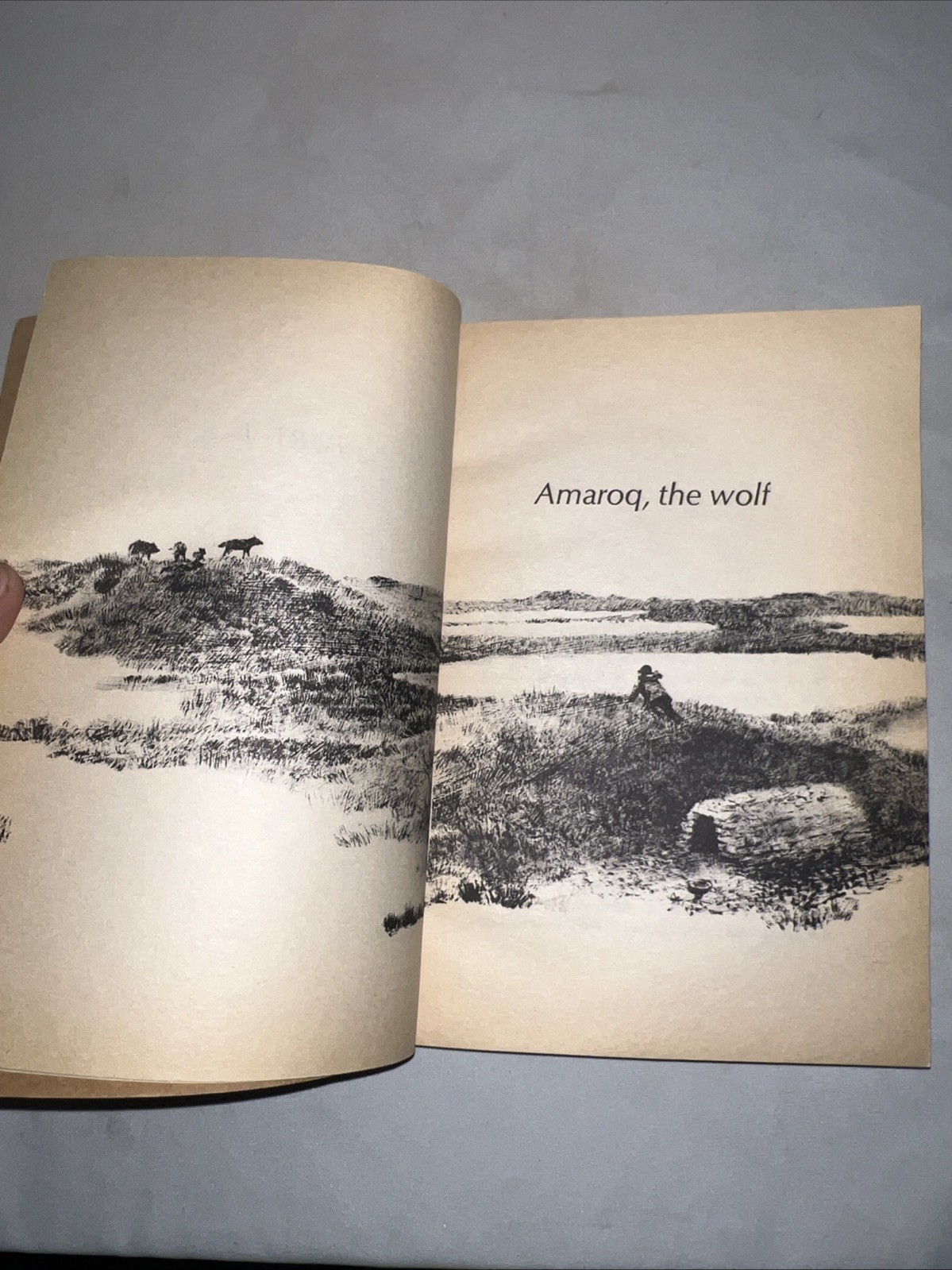 Julie Of The Wolves – George, Jean Craighead – Good – See condition notes