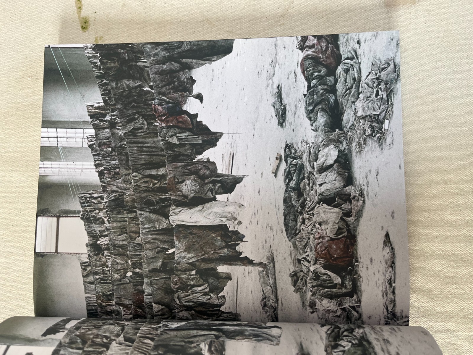 Arthur Jafa: MAGNUMB by Arthur Jafa (2021, Trade Paperback)