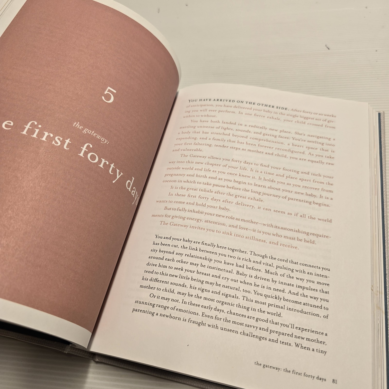 The First Forty Days: The Essential Art of Nourishing the New Mother (Hardcover)