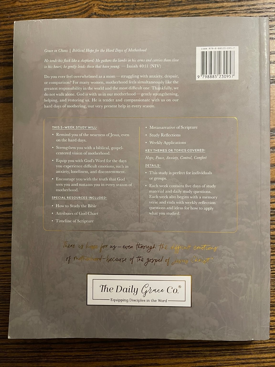 Grace in Chaos The Daily Grace Co. 2017 Biblical Hope Motherhood Study Guide:VG