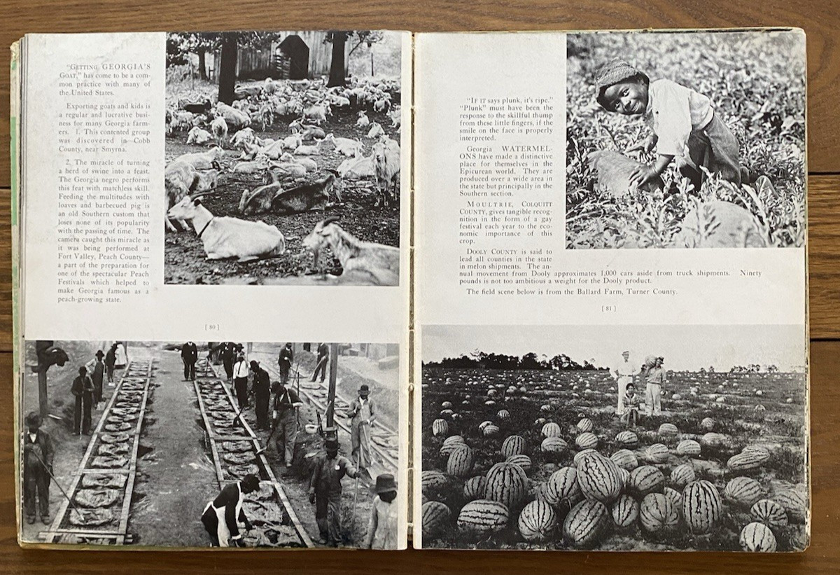 Empire Georgia Today in Pictures and Paragraphs 1936 First Edition HC