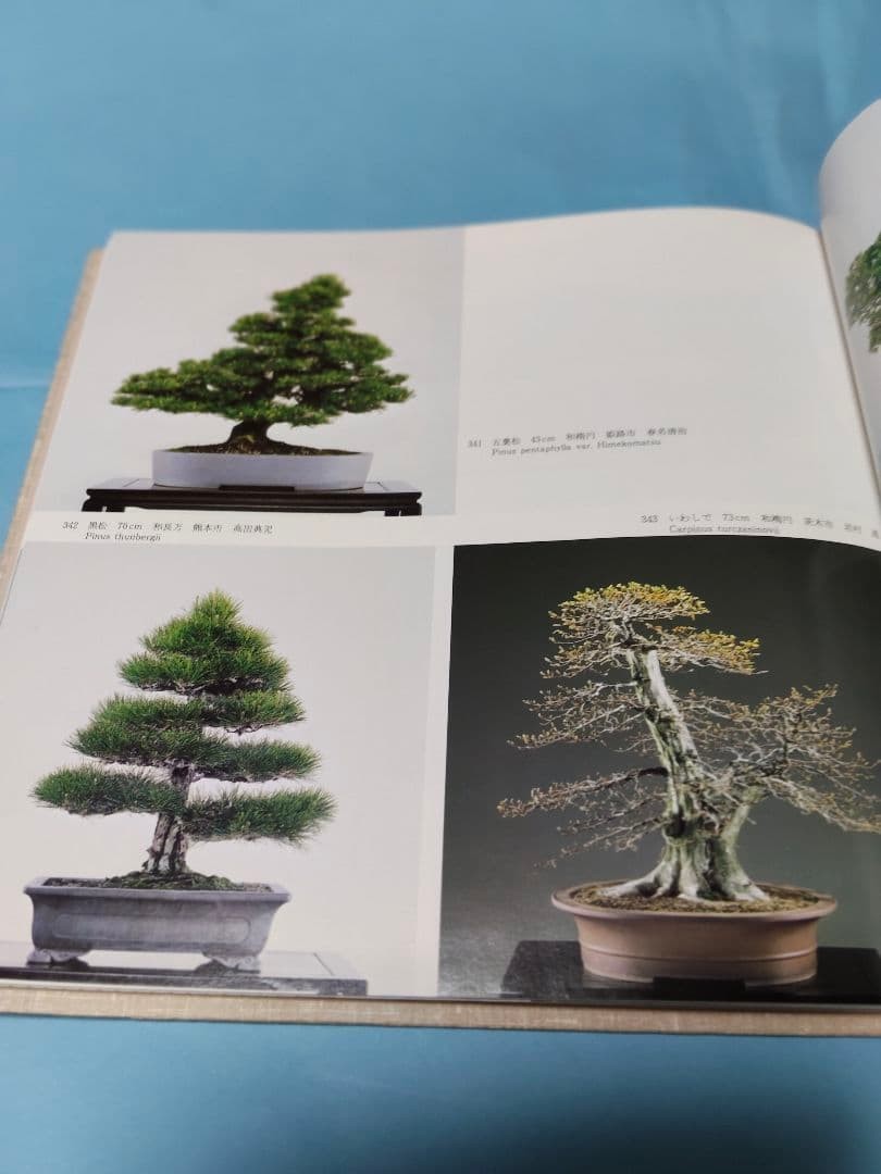 The 7th World Bonsai and Suiseki Exhibition Illustrated Book 11.8in x 11.8in