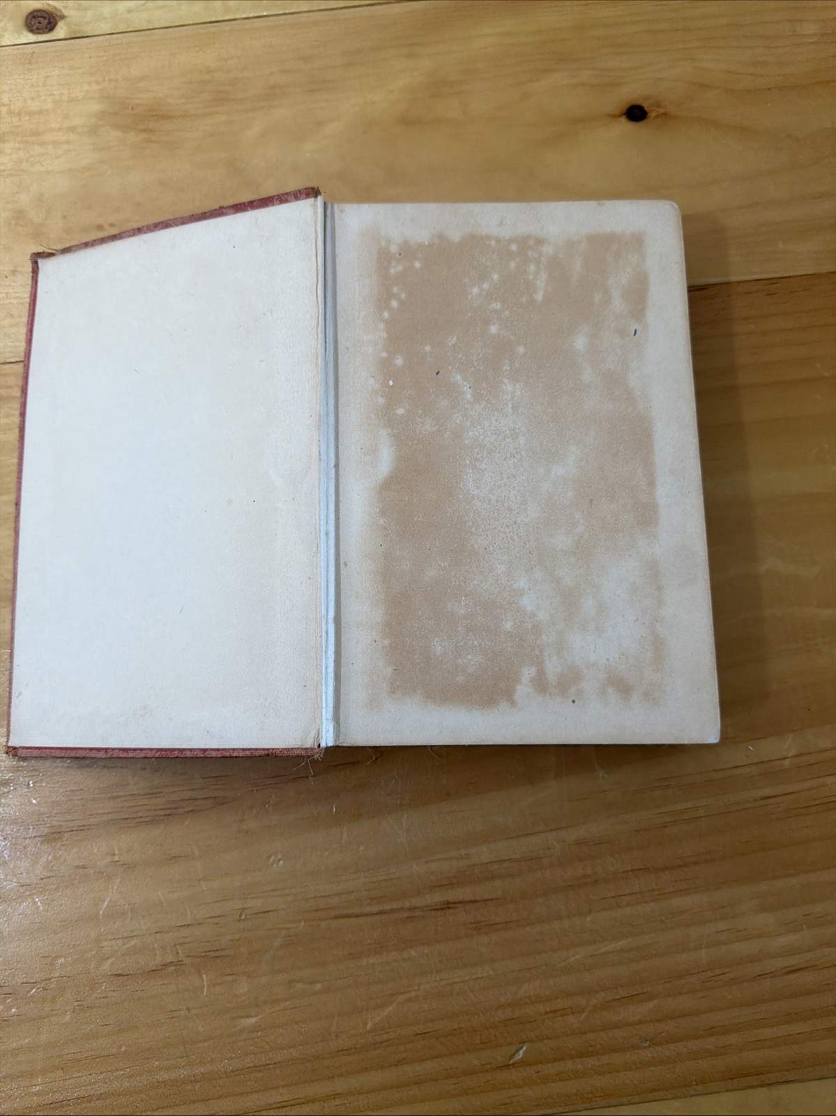 Vintage Official History of the 82nd Division American Expeditionary Forces 1919