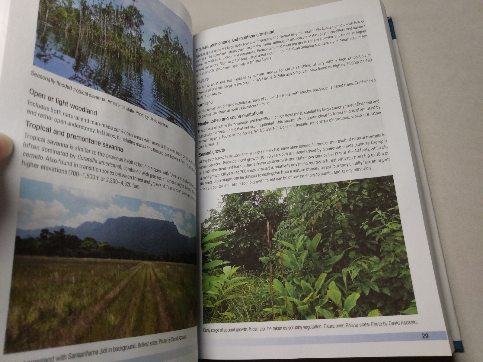 Birds of Venezuela Field Guide Ornithology Reference Regions Species Calls 2017
