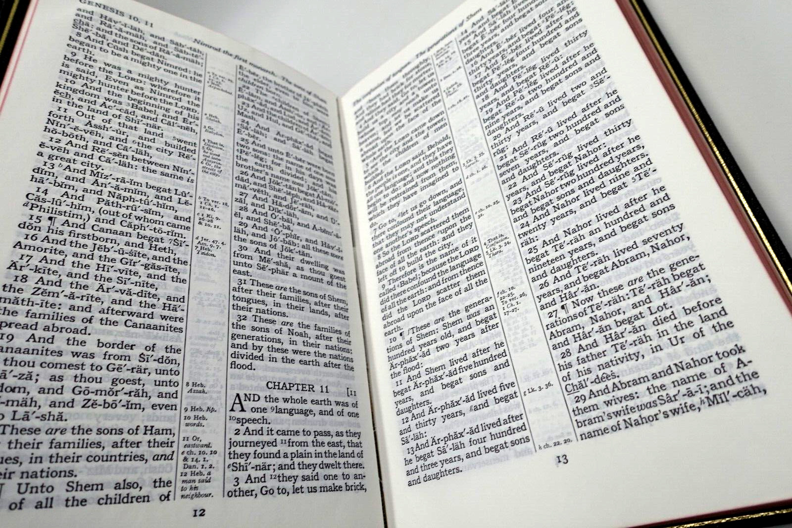 RARE The Cambridge Family Bible Hardcover w/ Box *HAS FLAWS READ DESCRIPTION*